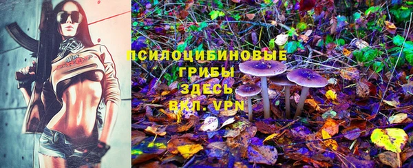 кокаин перу Вяземский
