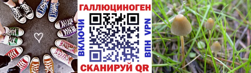 Псилоцибиновые грибы Psilocybine cubensis  Купить где  Комсомольск 
